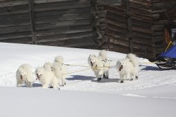 Kandersteg 2013